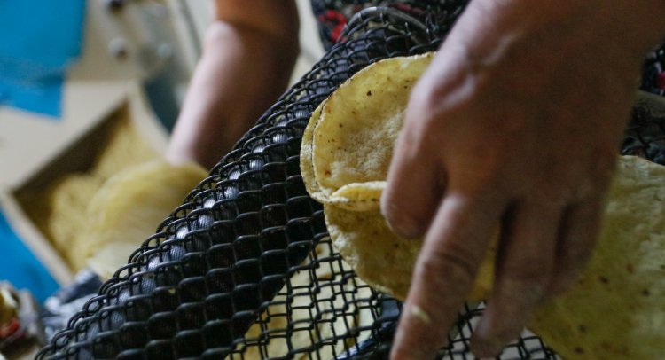 Molineros garantizan que no subirán el precio de la tortilla, aunque ya les urge hacerlo