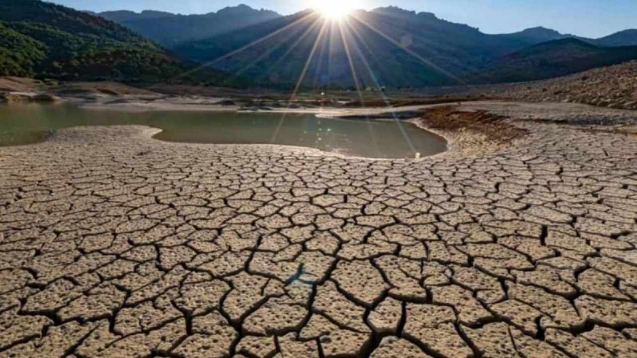 Conagua Estos Son Los Estados M S Afectados Por La Sequ A Y Escasez