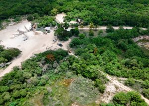 La Profepa clausura predio con cambio ilegal de uso de suelo en Umán