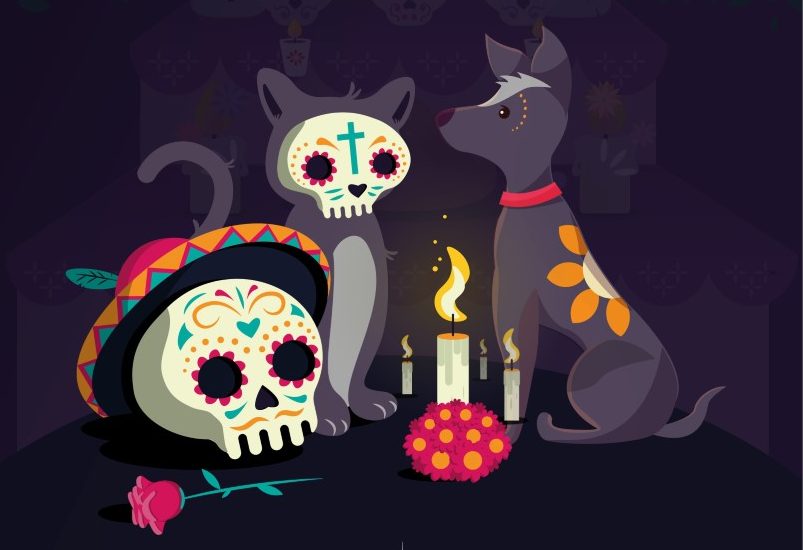 Pets will get in on the Hanal Pixán celebrations – Punto Medio